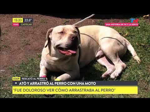 Ató y arrastró al perro con su moto, lo pudieron salvar