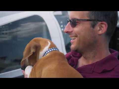 FLYING FUR TRAILER