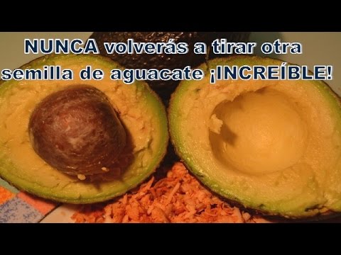 La semilla de aguacate beneficios propiedades usos. The avocado seed,