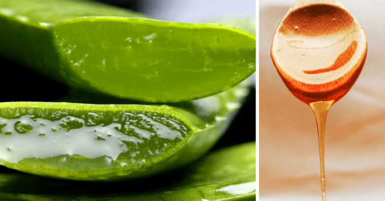 aloe vera y miel