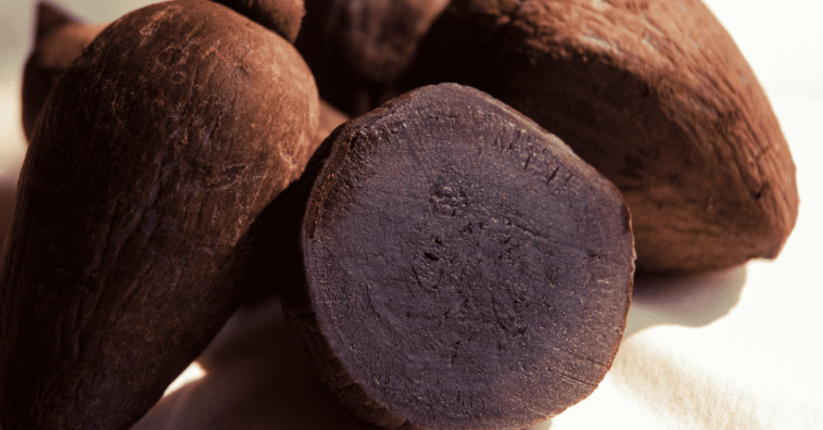 Tuberculo batata, camote