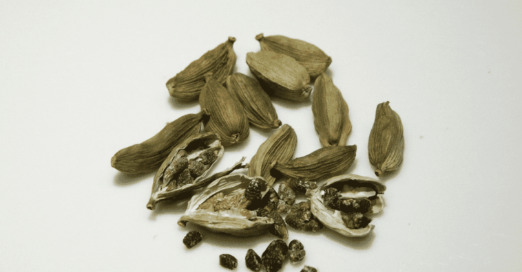 Condimento, cardamomo, especia