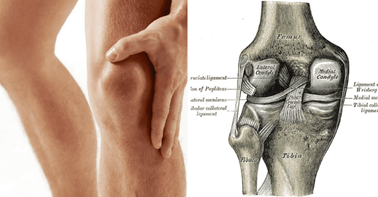 Lesiones cartilago de la rodilla
