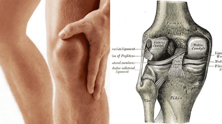 Lesiones cartilago de la rodilla
