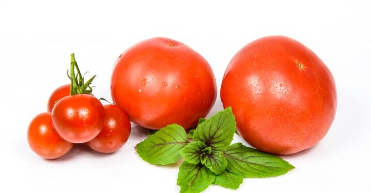 Racimo de tomates