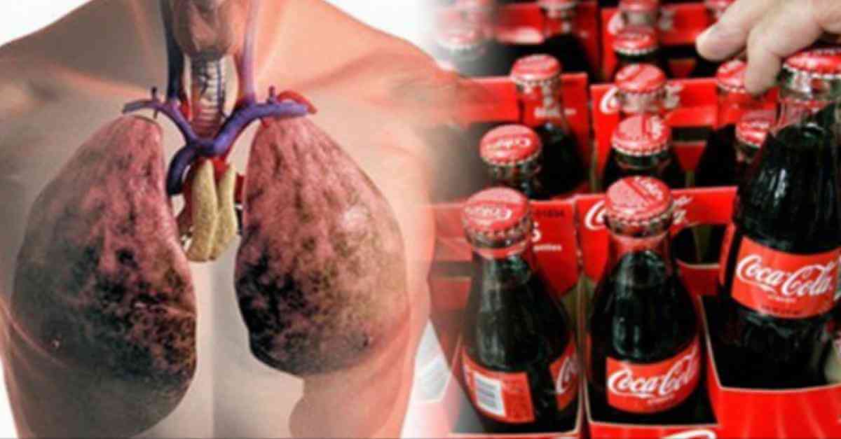 Coca Cola Caducada Se Puede Beber