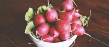 Rabanitos