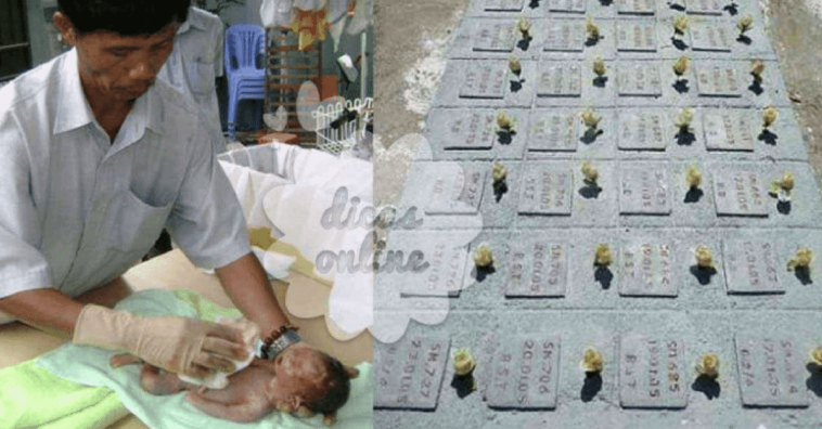 Tong Phuc con feto