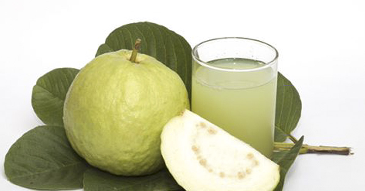 Beneficios de las hojas de guayaba para su salud