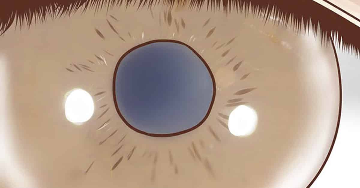 Cómo prevenir y tratar el glaucoma - e-Consejos Cómo prevenir y tratar el glaucoma - e-Consejos