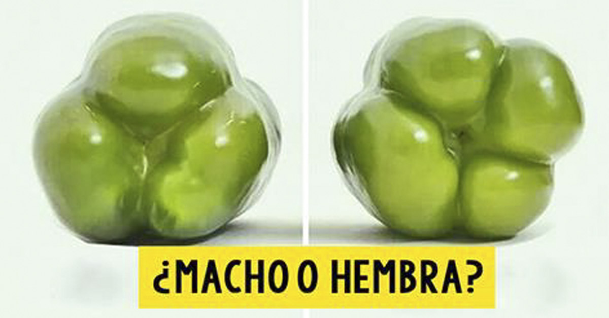 limpiar hembra sexo limpiar hembra sexo