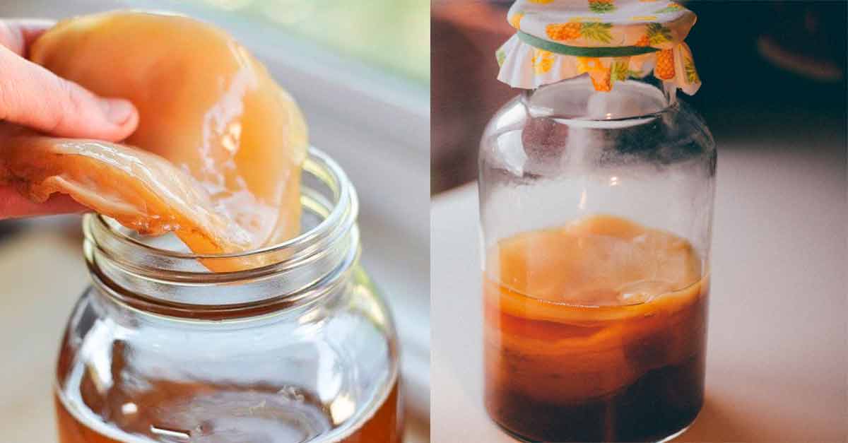 Kombucha qué es y qué beneficios trae para la salud