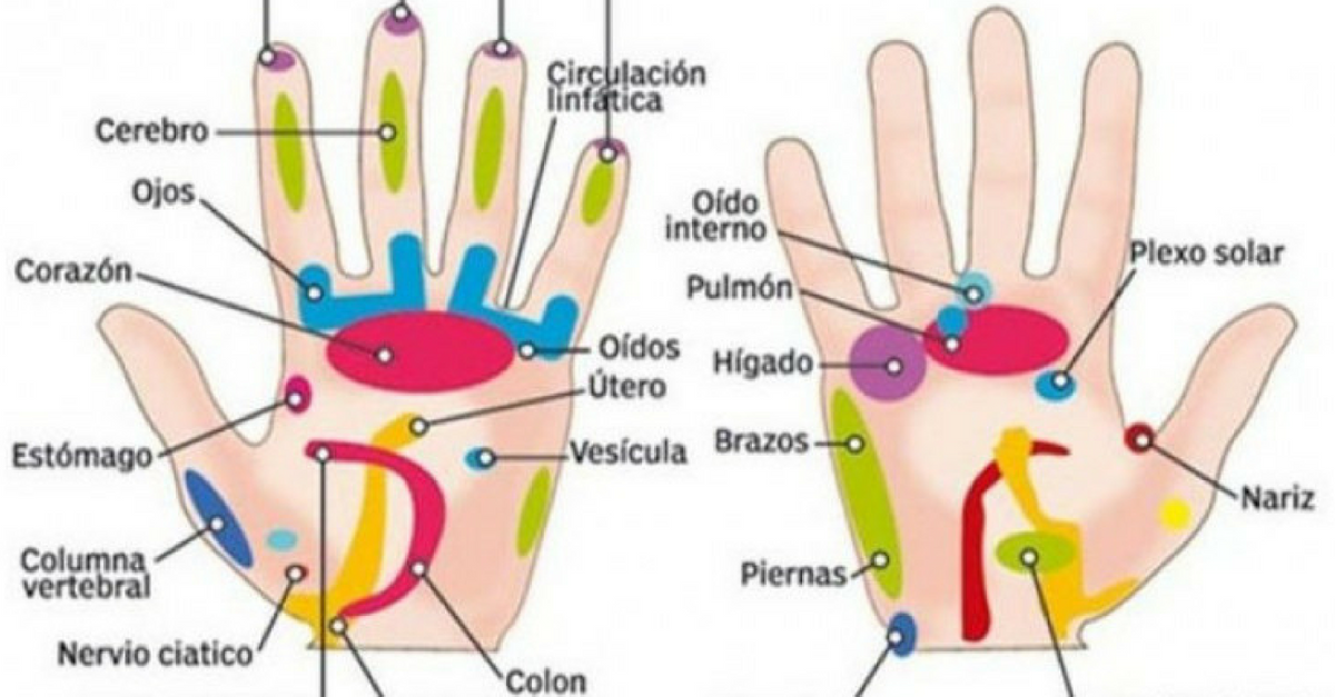 Reflexologia en la mano para adelgazar