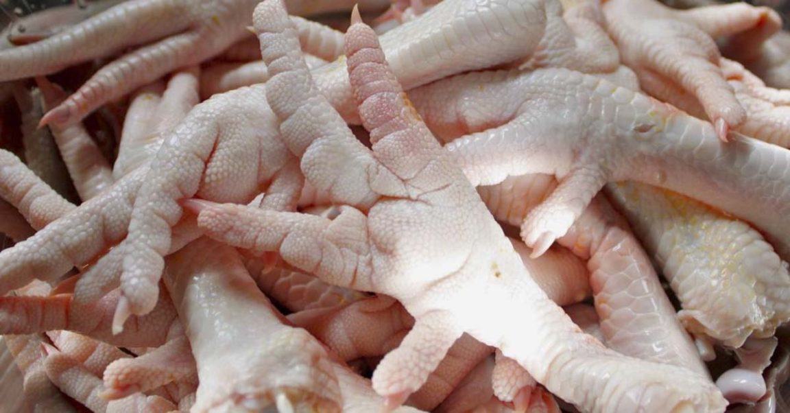 Las patas de gallina una fuente de salud y lozanía