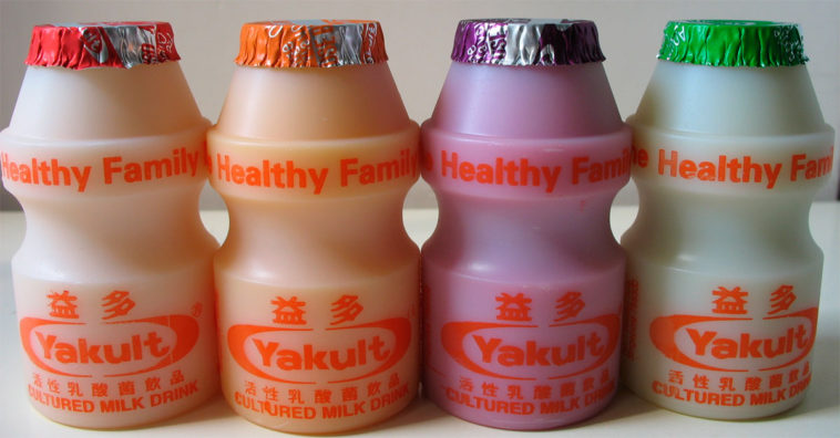 Yakult casero