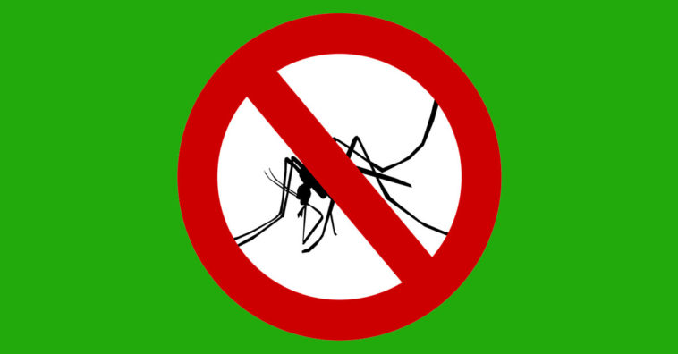 Cómo matar moquitos