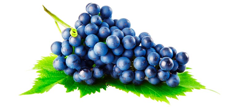 Uvas