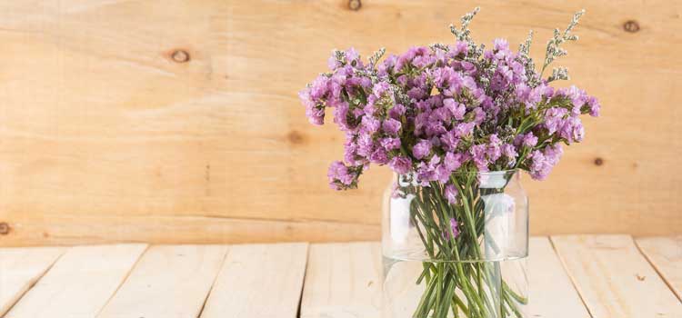 arreglos florales ramilletes lavanda