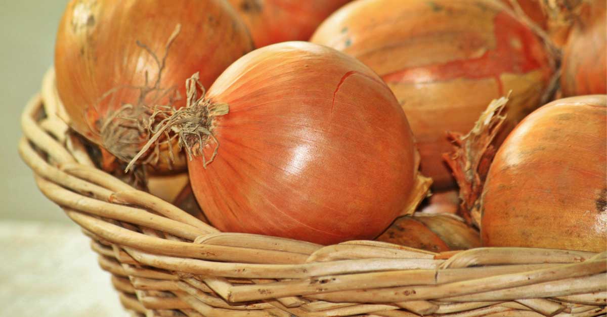 3 técnicas sencillas para conservar cebollas