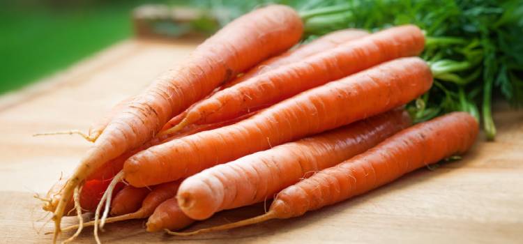 Alimentos buenos para la piel zanahoria