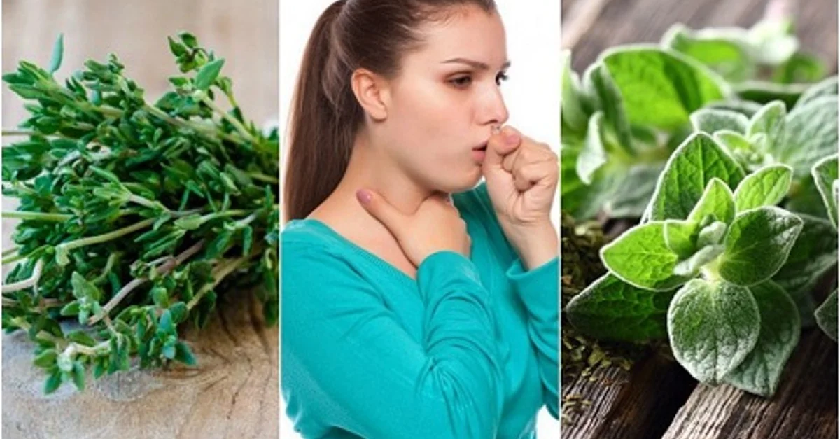Cuáles son las mejores plantas medicinales para combatir