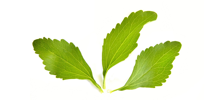 Alternativas al azucar hojas de Stevia