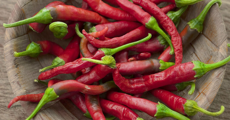 Comer chiles