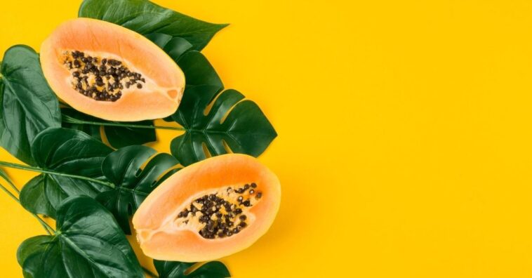 árbol de papaya en una maceta produzca frutos