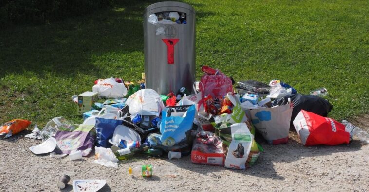 Consejos para disminuir tu basura a cerov