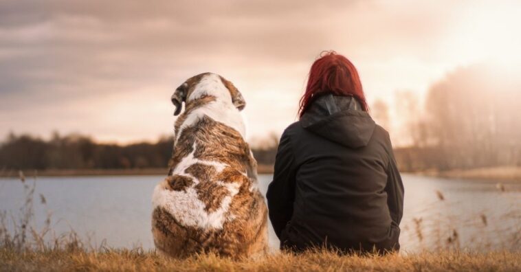 Cosas de la vida que aprendes con los perros