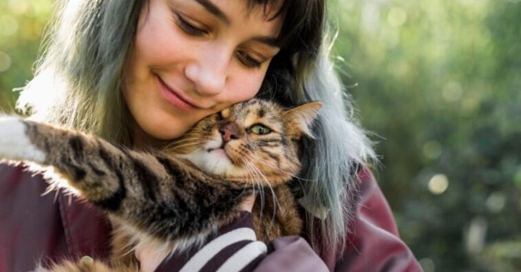 Cosas que los gatos odian