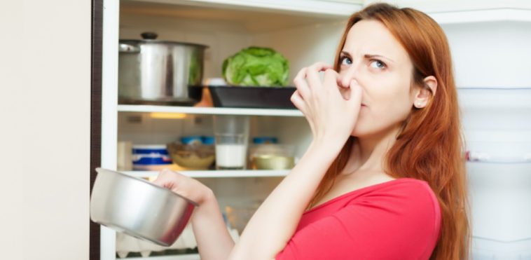 Cosas que no debes guardar en el refrigerador