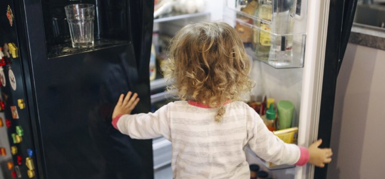 Cosas que no debes guardar en el refrigerador nevera