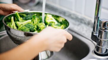 Cómo lavar el brócoli para que quede libre de gusanos