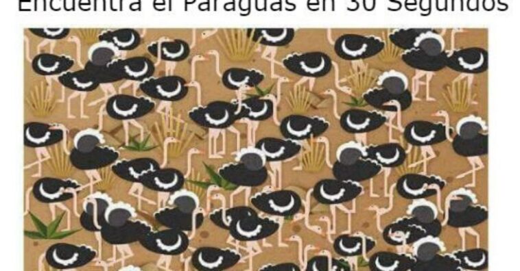Descubre dónde está el paraguas en 30 segundos