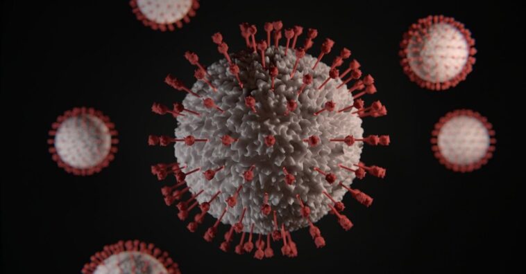 Descubren un medicamento para eliminar el coronavirus y comienzan a probarlo en humanos