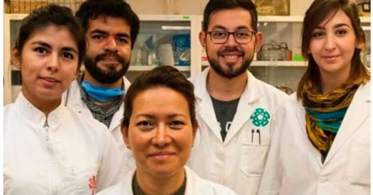 IPN consigue eliminar el Virus del Papiloma Humano