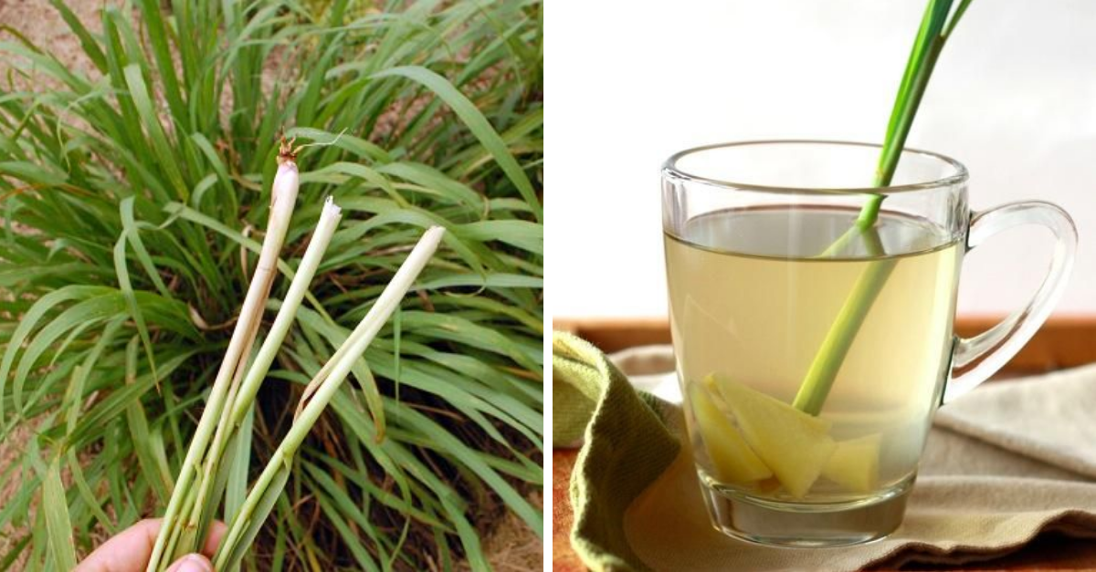 Té de hierba de limón para calmar el dolor de cabeza e