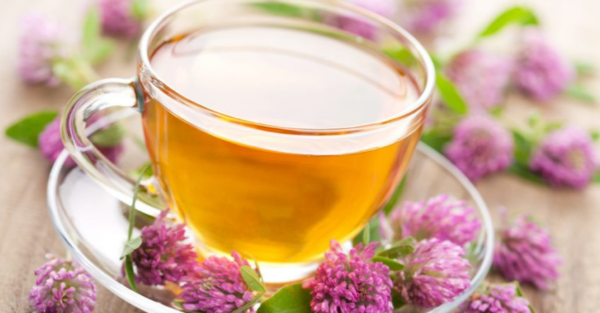 Infusión de valeriana: beneficios y cómo prepararla fácilmente - e-Consejos