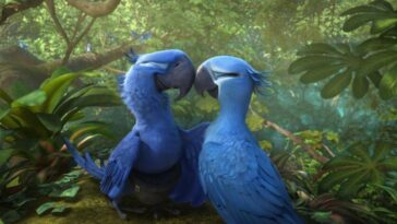 Nace un Guacamayo azul y salva a su especieNace un Guacamayo azul y salva a su especie