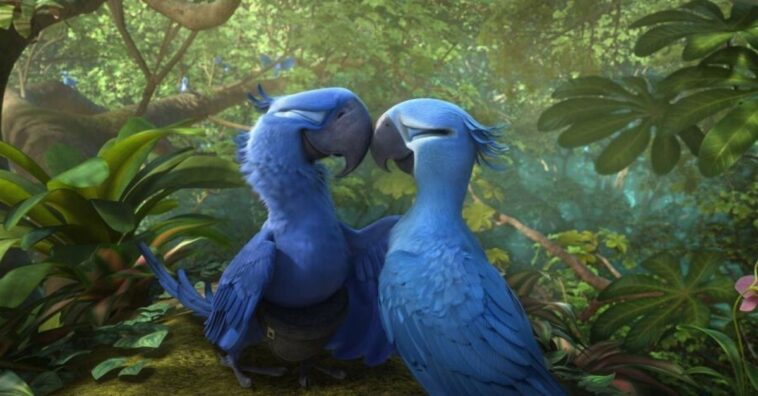Nace un Guacamayo azul y salva a su especieNace un Guacamayo azul y salva a su especie