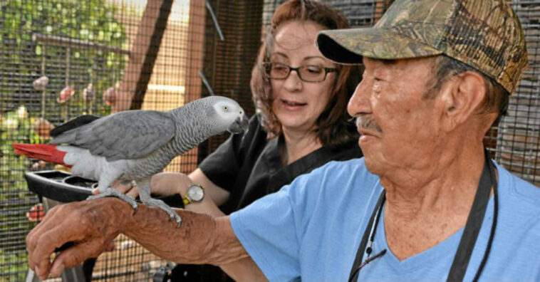 papagayo se escapa de casa y regresa 4 años después hablando español