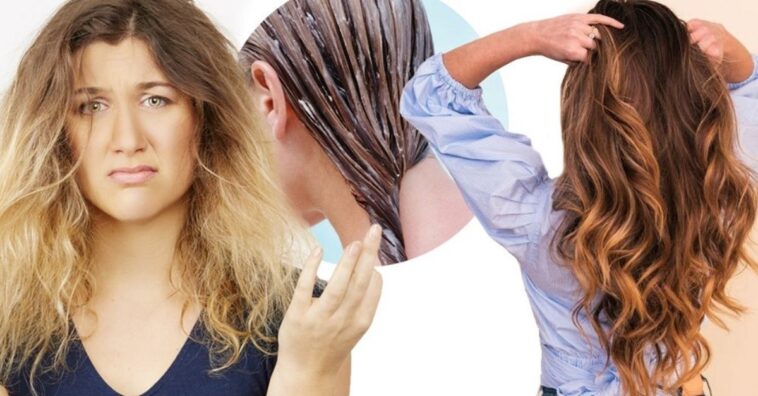 Remedios naturales para restaurar el cabello maltratado y decolorado