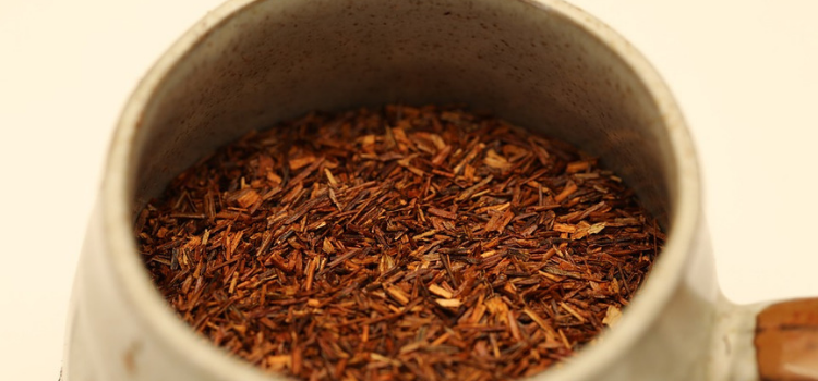 Rooibos