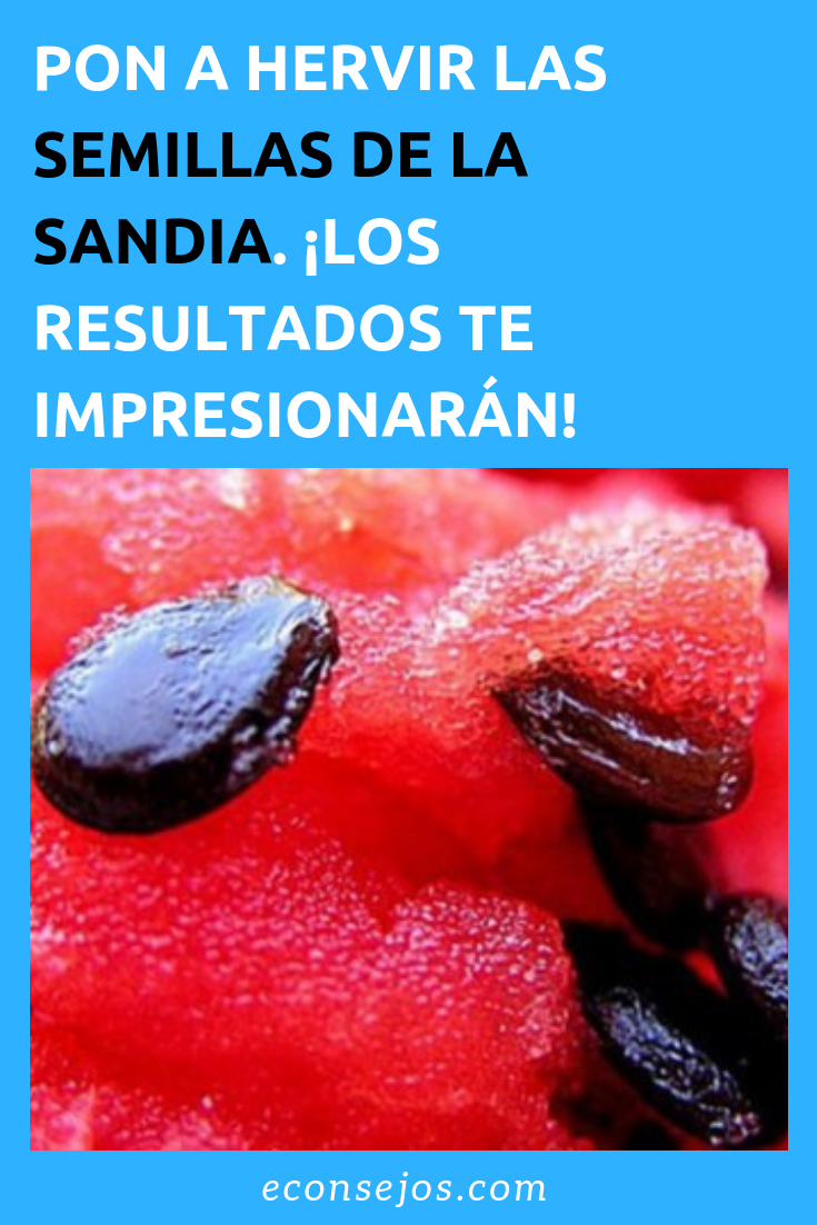 Semillas de sandia