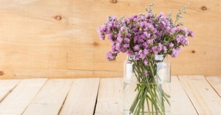 Trucos para cuidar una planta de lavanda y que florezca