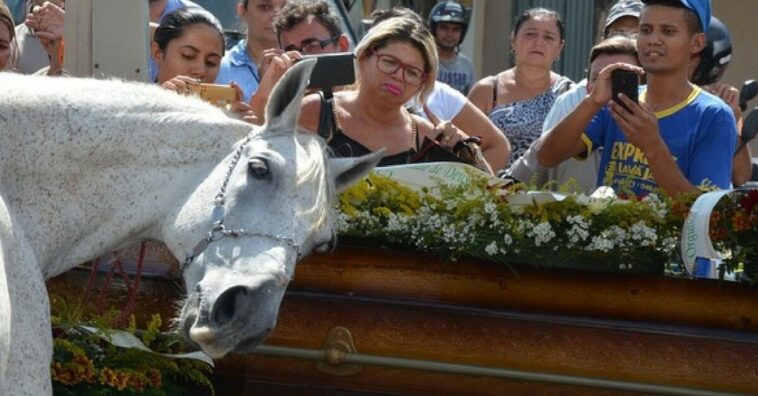 caballo se despide de su dueño