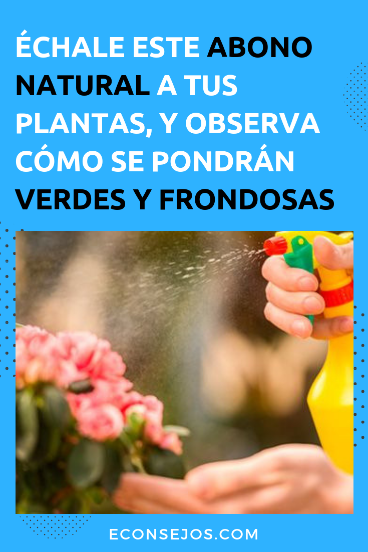 Cómo hacer fertilizante casero para las plantas