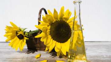 aceite de girasol