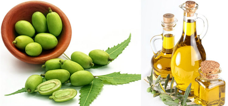 aceite de neem propiedades